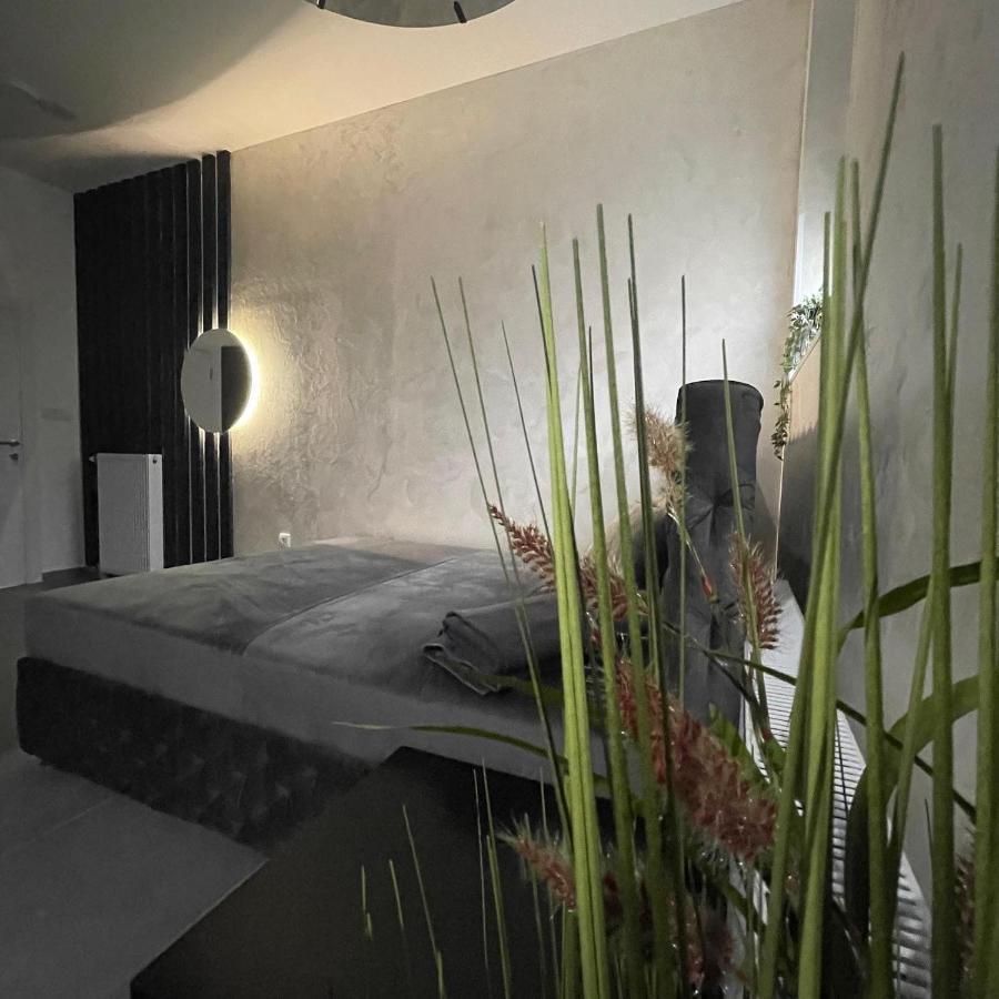 Tepic Garni Hotel Temerin Exterior photo